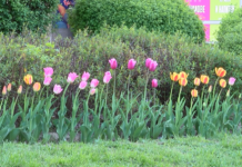 Да напълним великденската трапеза на хора в нужда