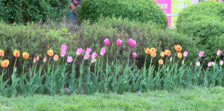 Да напълним великденската трапеза на хора в нужда