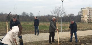 Нова залесителна акция в парк „Лаута“ в Пловдив