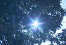 Днес е лятното слънцестоене