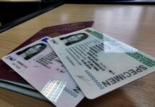 55 000 души от областта ще трябва да подменят свидетелствата си за управление на МПС през тази година