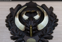 Ловец от Асеновград с рекорд