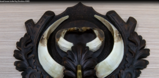 Ловец от Асеновград с рекорд