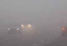 Нарушители карат в лентата за насрещно движение на пътя Асеновград – Пловдив