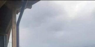 Стартира нова кампания за домашните любимци в Асеновград