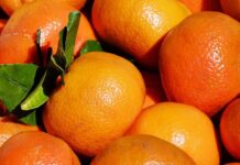 Върнати са тонове некачествени храни