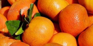 Върнати са тонове некачествени храни