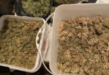 Арестуваха 37-годишна жена за притежание и употреба на наркотични вещества