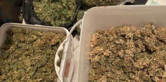 Арестуваха 37-годишна жена за притежание и употреба на наркотични вещества