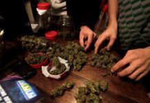 Мъж от Асеновград е в ареста заради наркотици