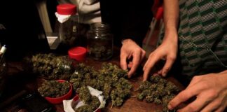 Мъж от Асеновград е в ареста заради наркотици