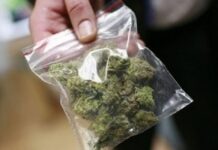 Полицията залови с марихуана 17- годишен асеновградчанин