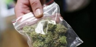 Полицията залови с марихуана 17- годишен асеновградчанин