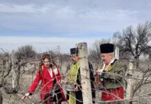 Зарязаха лозите в село Марково