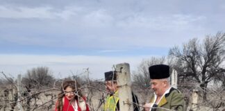 Зарязаха лозите в село Марково