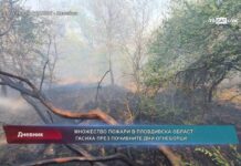 Дневник 24.07.2023