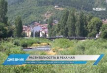 Дневник 05.09.2023