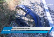 Дневник 18.09.2023