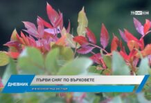 Дневник 18.10.2023