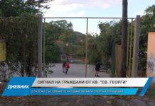 Дневник 07.11.2023