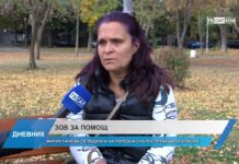 Дневник 08.11.2023