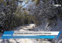 Дневник 27.11.2023