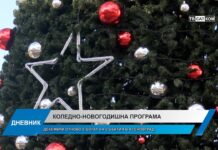 Дневник 29.11.2023