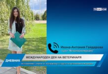 Дневник 14.12.2023