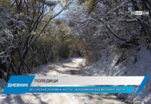 Дневник 10.01.2024