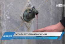 Дневник 14.02.2024