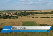 Дневник 23.02.2024