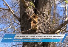 Дневник 21.03.2024