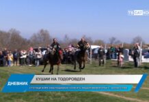 Дневник 25.03.2024