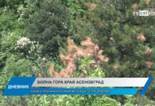 Дневник 24.04.2024