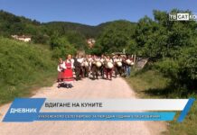 Дневник 17.06.2024