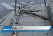 Дневник 30.09.2024