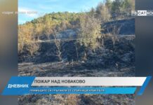 Дневник 03.10.2024