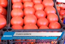 Дневник 04.10.2024