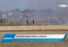 Дневник 16.10.2024