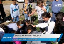 Дневник 25.10.2024