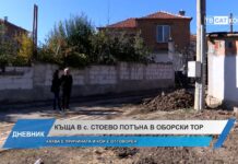 Дневник 29.10.2024