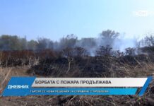 Дневник 31.10.2024