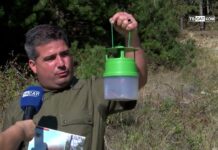 Сподели с мен 17.10.2024