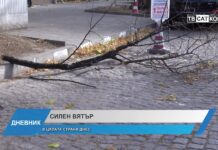 Дневник 21.11.2024