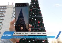 Дневник 27.11.2024