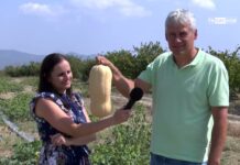 На работа с агроном 18.11.2024