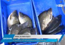 Дневник 05.12.2024