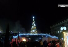 Коледни светлини в Асеновград 06.12.2024