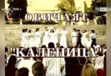 Компилация Дневник 2006 – 2017 г.