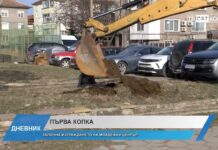 Дневник 20.01.2025